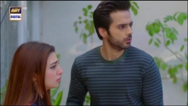 Dil-e-Veeran Episode 48 - 27th Jul 2022